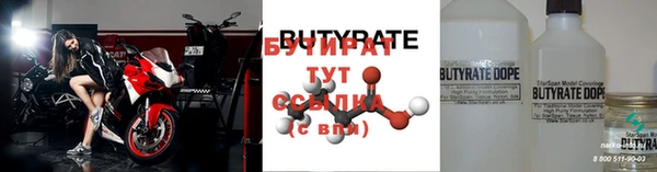 шишки Снежногорск