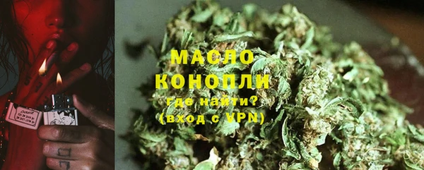 шишки Снежногорск