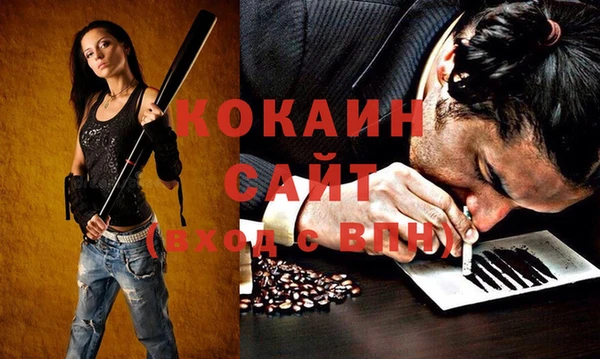 шишки Снежногорск